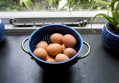 Eggs on the window sill